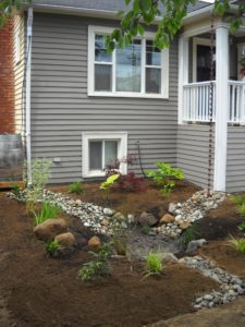 trainor raingarden 015